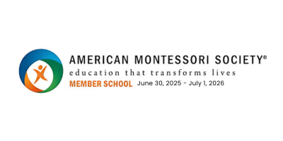 AMS Logo